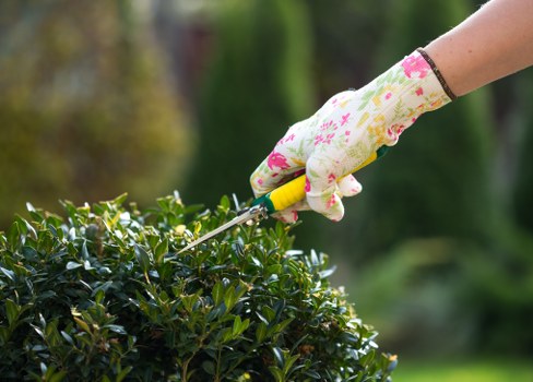 Proper lawn mowing techniques for a healthy lawn