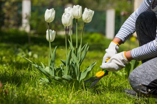 Tools used for hedge trimming services