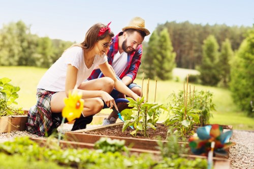 Professional hedge trimming service in Sidcup