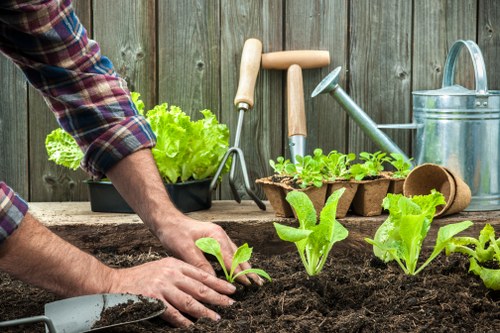 Professional gardener designing a landscape in Sidcup