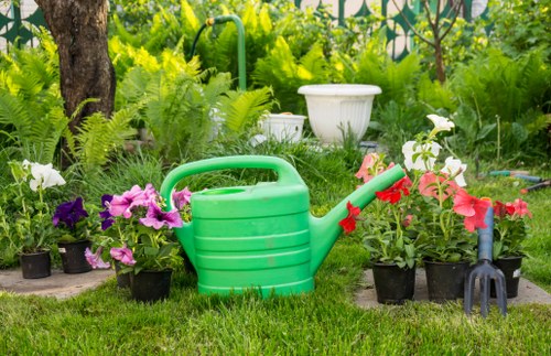 Professional garden clearance service in Sidcup