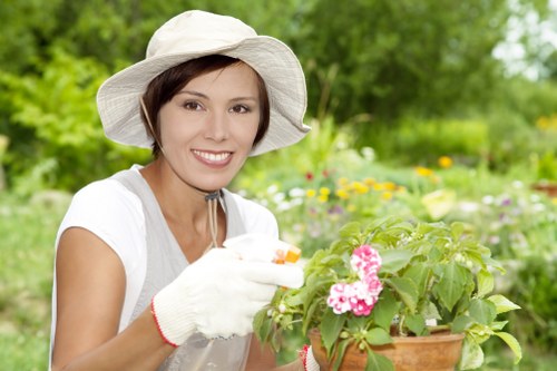 Professional gardener trimming a hedge in Sidcup