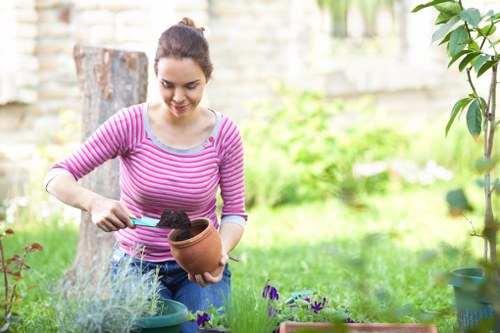 Sidcup backyard with well-planned garden layout and plant arrangements