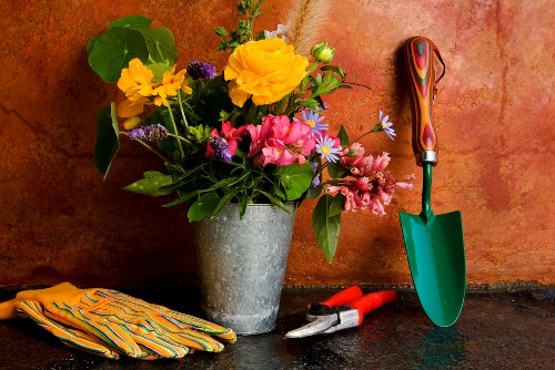 Healthy soil preparation for Sidcup garden plants