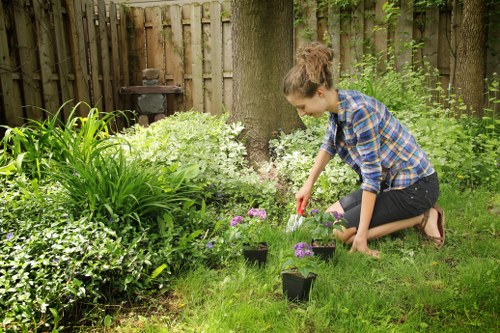 Selection of native plants ideal for Sidcup landscape gardening