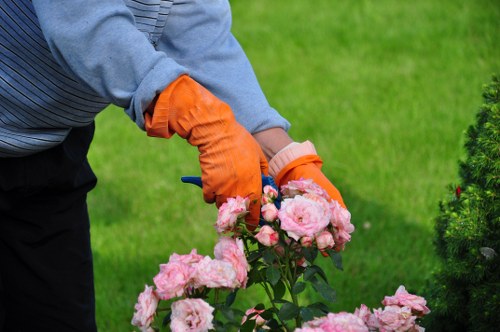 Organic pest control methods in a Sidcup garden