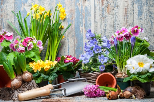 Seasonal lawn care tips for Sidcup gardens
