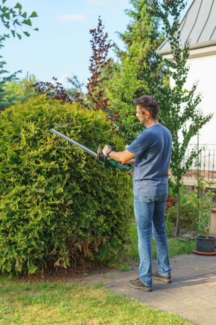 A man in casual clothing is trimming a large, dense hedge with electric hedge shears in a well-maintained garden. The hedge, composed of bright green foliage, stands along a paved path next to a white
