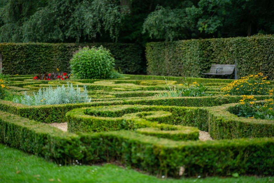 A man in casual clothing is trimming a large, dense hedge with electric hedge shears in a well-maintained garden. The hedge, composed of bright green foliage, stands along a paved path next to a white